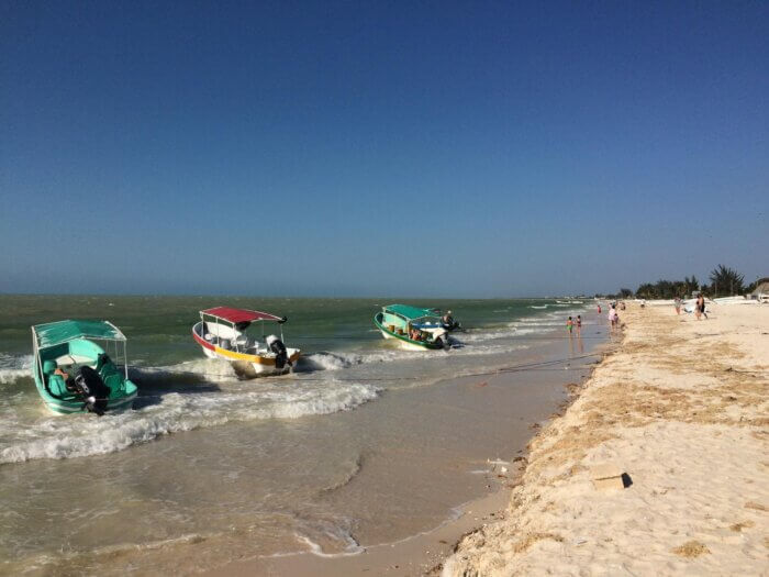 Barevné čluny ve vodách mexického zálivu v letovisku Celestún a pláž s bílým pískem, poloostrov Yucatán v Mexiku