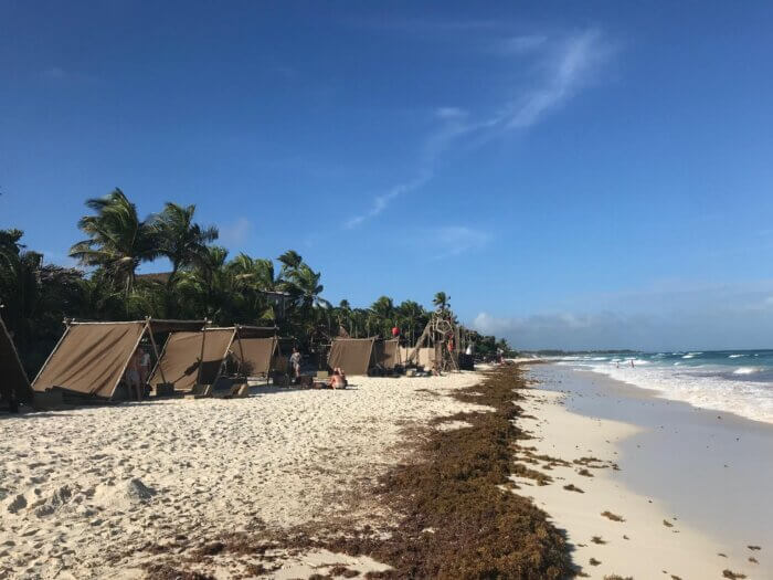 Pláž v Tulum na poloostrově Yucatán v Mexiku s bílým pískem a mořskou řasou sargassum