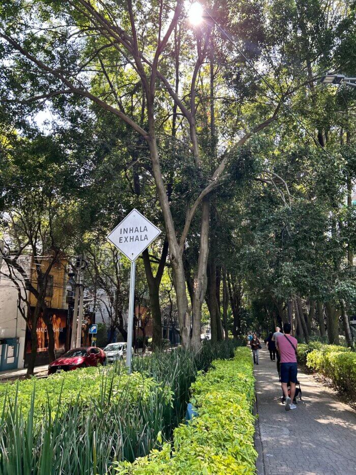 Co navštívit v Mexiko City - Stinná alej Avenida Ámsterdam v čtvrti Condesa, se stromy, chodníkem a cedulí „Inhala, Exhala