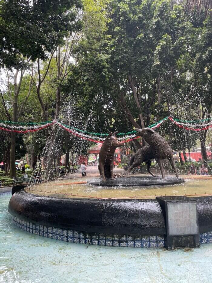 Mexico City průvodce - Fontána Fuente de los Coyotes v Coyoacánu v Mexico City s bronzovými sochami dvou kojotů uprostřed zeleného parku.