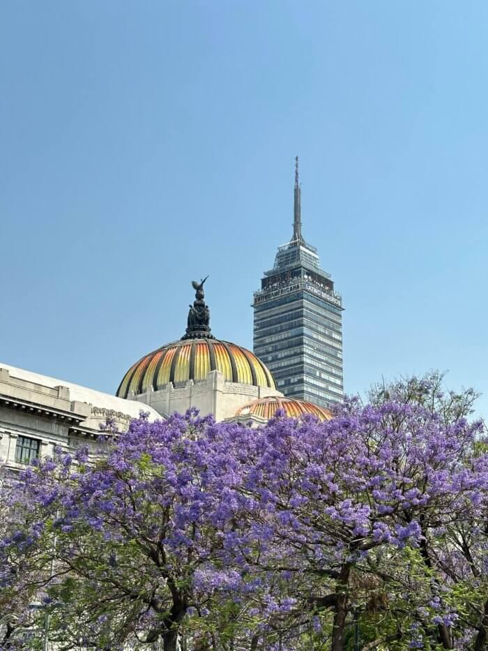 Palacio de Bellas Artes a Torre Latinoamericana v Mexico City během květu jacarand.