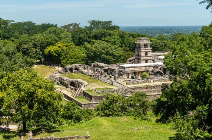 Co vidět v Mexiku: Pyramida v archeologické zóně Palenque obklopená tropickým pralesem ve státě Chiapas.