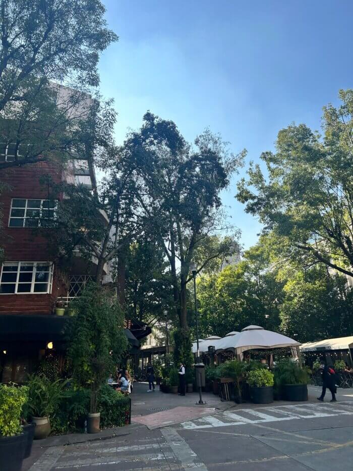 Kavárny a restaurace ukryté mezi stromy v čtvrti Polanco v Mexico City, ulice Julio Verne.