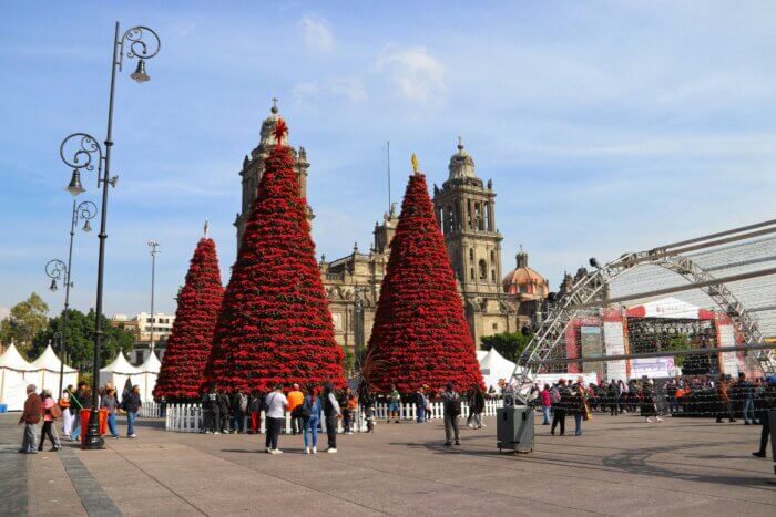 Vánoční výzdoba a červené stromy na Zócalu v Mexico City.